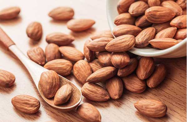خرید نهال بادام؛ یک انتخاب راحت و مطمئن خرید نهال بادام؛ یک انتخاب راحت و مطمئن