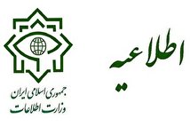 شبکه سازمان یافته ای از دلالان و سوداگران دارویی دستگیر شدند (+عکس)