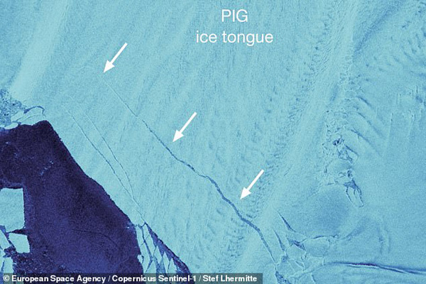 آنها هرگز پرواز نکرده اند! (تصاویر) آنها هرگز پرواز نکرده اند! (تصاویر)