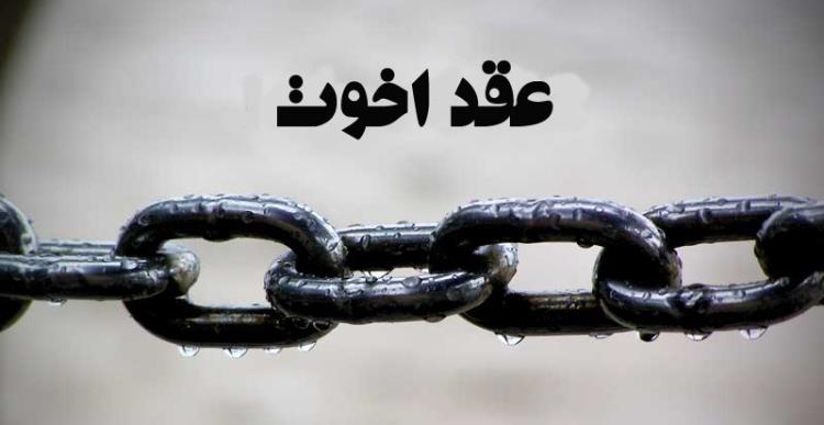 اخوّت و برادری در اسلام