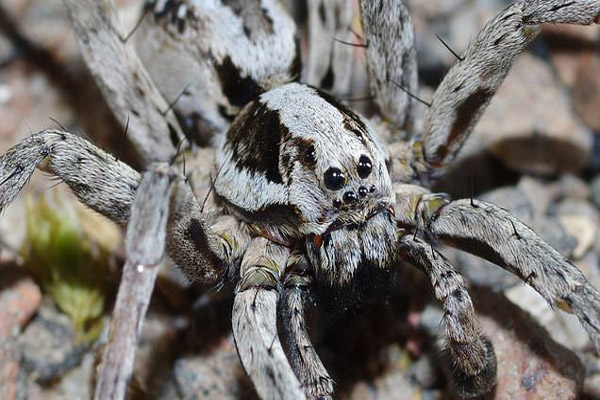 تخلیه بی رحمانه و غیرانسانی بی خانمانهای یک کمپ (تصاویر) تخلیه بی رحمانه و غیرانسانی بی خانمانهای یک کمپ (تصاویر)