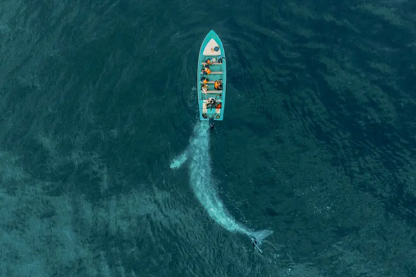 تخلیه بی رحمانه و غیرانسانی بی خانمانهای یک کمپ (تصاویر) تخلیه بی رحمانه و غیرانسانی بی خانمانهای یک کمپ (تصاویر)