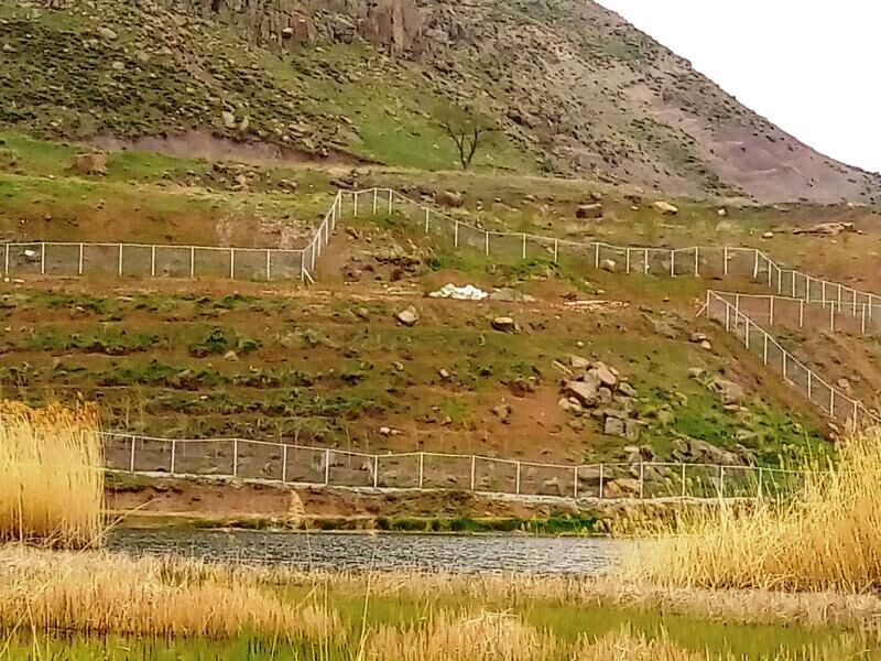 ۲۸۱ هکتار زمین دولتی در آذربایجانغربی رفع تصرف شد ۲۸۱ هکتار زمین دولتی در آذربایجانغربی رفع تصرف شد