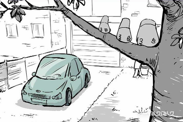 توصیه‌های کاربردی، برای شست‌وشوی خودرو+عکس