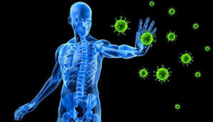 سیستم ایمنی به طور معمول بدن را در برابر میکروب هایی مانند باکتری و ویروس محافظت می کند و در صورت شناسایی عوامل بیماری زا در بدن سریعا به آن ها حمله کرده و از بین می برند.