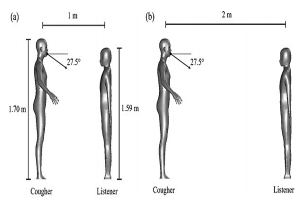 چرا افراد قدکوتاه بیشتر در معرض ابتلا به کرونا هستند؟ (عکس) چرا افراد قدکوتاه بیشتر در معرض ابتلا به کرونا هستند؟ (عکس)