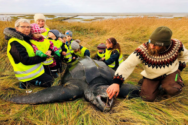 فروش هلیکوپتر بعد از یک شکست بزرگ (تصاویر)