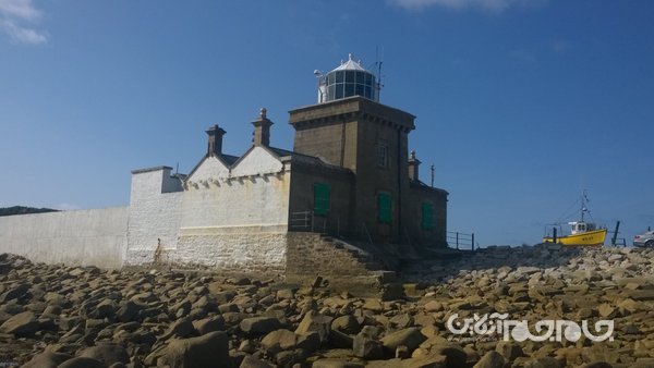 ۱۰ واقعیت جالب و باورنکردنی در مورد جنگ جهانی دوم که کمتر کسی از آن‌ها مطلع است+عکس