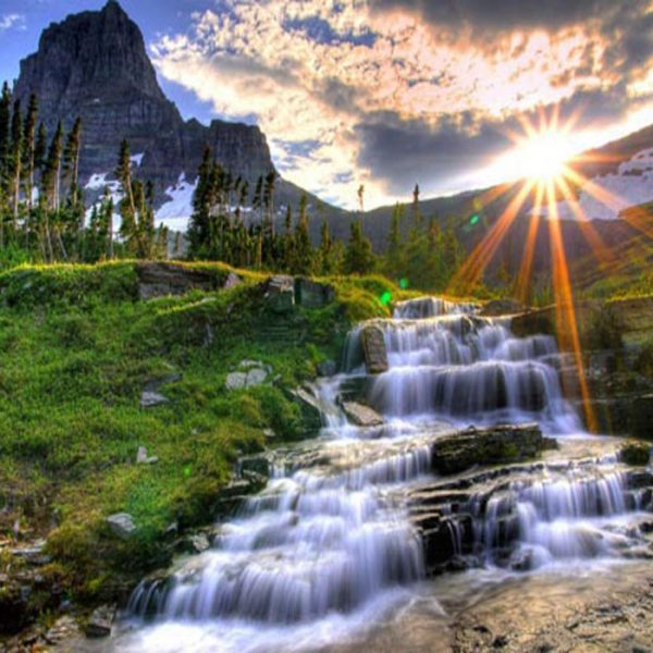 شگفتیهای آفرینش در نهج البلاغه شگفتیهای آفرینش در نهج البلاغه