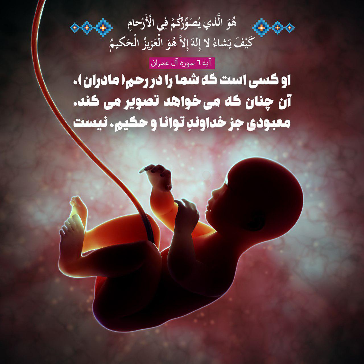 شگفتیهای آفرینش در نهج البلاغه شگفتیهای آفرینش در نهج البلاغه