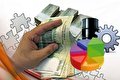 دولت در این چند سال فقط فرصت سوزی کرده است