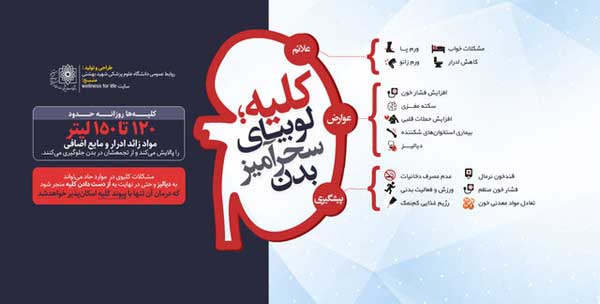 هر آنچه باید درباره سلامت لوبیای سحرآمیز بدن بدانیم