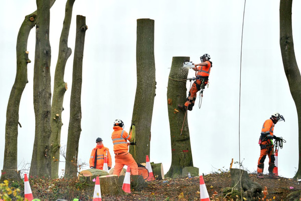 آوارگان زمین و دریا (تصاویر) آوارگان زمین و دریا (تصاویر)
