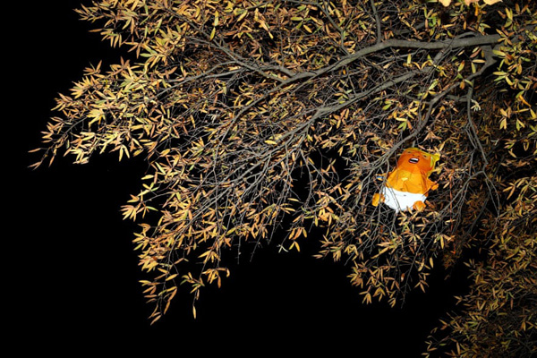 آوارگان زمین و دریا (تصاویر) آوارگان زمین و دریا (تصاویر)