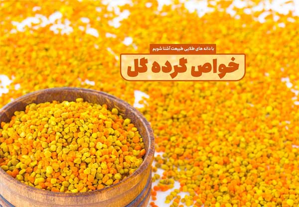 گرده گل چیست؟ 5 خاصیت گرده گل که باید بشناسید گرده گل چیست؟ 5 خاصیت گرده گل که باید بشناسید