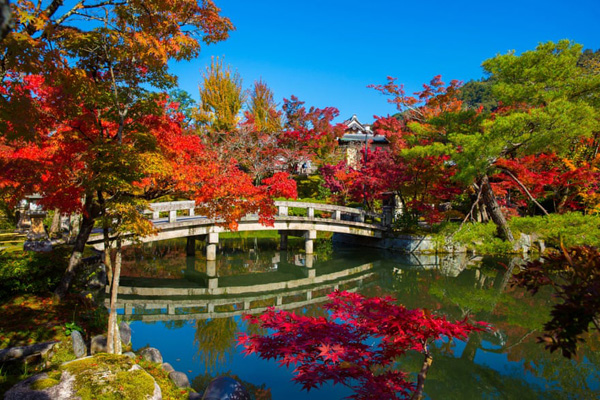 دراز و نشست، جریمه نزدن ماسک! (تصاویر) دراز و نشست، جریمه نزدن ماسک! (تصاویر)