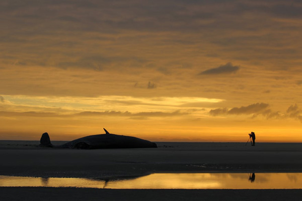 برترین عکس های «اقیانوسی» در سال 2020