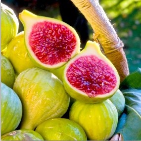 33 فایده و خواص انجیر برای سلامتی و زیبایی