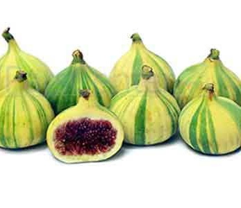 33 فایده و خواص انجیر برای سلامتی و زیبایی