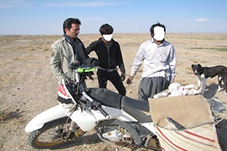 شکارچیان کبوتران وحشی در پارسآباد مغان دستگیر شدند