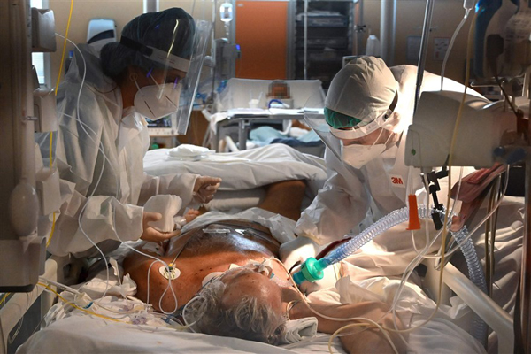 دور دنیا در قاب تصاویر؛ فرار از دست فیل غول پیکر!