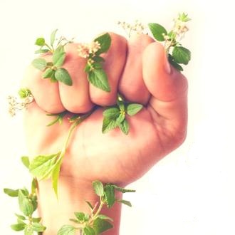 رهایی قاتل از چوبه دار رهایی قاتل از چوبه دار