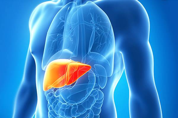 نقش خرمالو در سلامت کبد! نقش خرمالو در سلامت کبد!