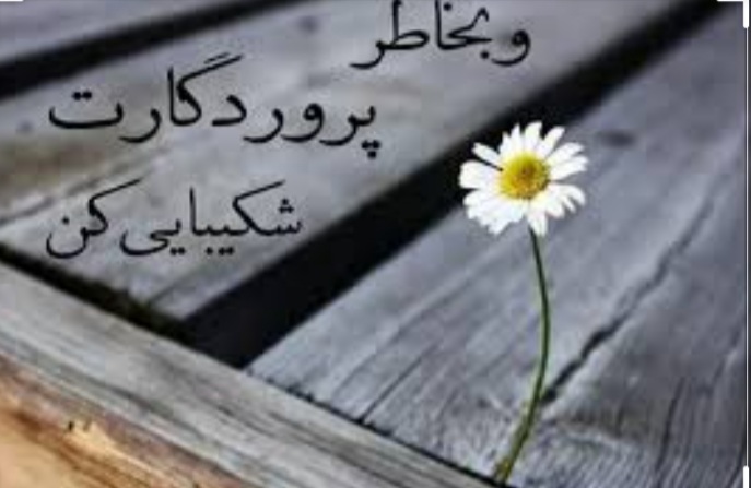 عکس العمل های قرآنی در مقابل بد رفتاری دیگران