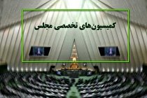 ۱۱ وزیر به خانه ملت میروند / بررسی علت نوسانات ارزی در بهارستان