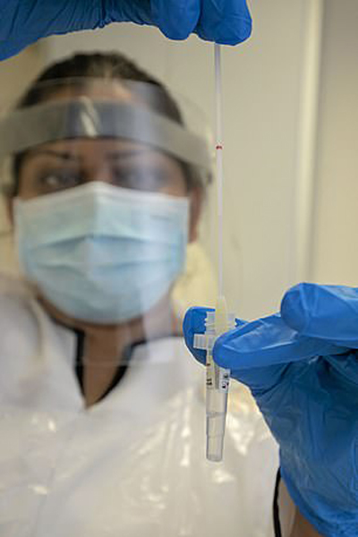 دور دنیا در قاب تصاویر؛ بوقلمون ها روی دست ماند! دور دنیا در قاب تصاویر؛ بوقلمون ها روی دست ماند!