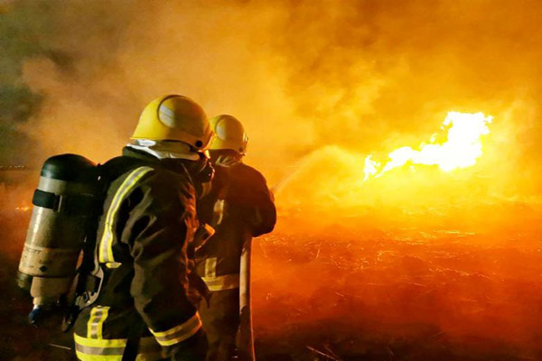 دور دنیا در قاب تصاویر؛ عملیات کشتن زنبورهای قاتل دور دنیا در قاب تصاویر؛ عملیات کشتن زنبورهای قاتل