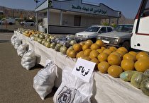 انهدام باند بزرگ قاچاق مواد مخدر در منطقه مرزی جکیگور/ کشف بیش از ۲ تن مخدر