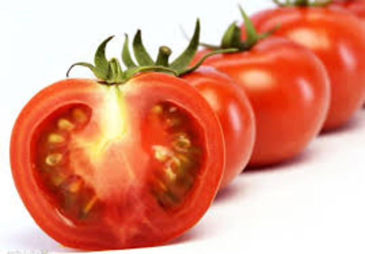 گوجه فرنگی از هزاران سال پیش مورد توجه بوده و برای برخی از درمان های طبیعی از آن استفاده می‌شده است.میوه این گیاه که قسمت اصلی آن است به صورت خام یا پخته در سالاد، انواع سس‌ها، سوپ و انواع مواد غذایی به طور وسیع در جهان مورد استفاده قرار می‌گیرد.