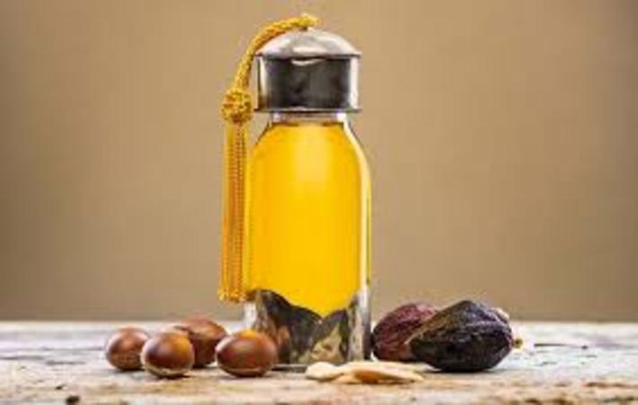 امروزه کمتر کسی از خواص روغن آرگان بی خبر است. این روغن را از هسته ی میوه درخت آرگان تهیه می کنند و یکی از گرانترین روغن های جهان و به طلای مایع معروف است.