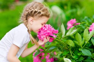 تاثیر گل و گیاه بر روحیه انسان در روز های کرونایی! تاثیر گل و گیاه بر روحیه انسان در روز های کرونایی!