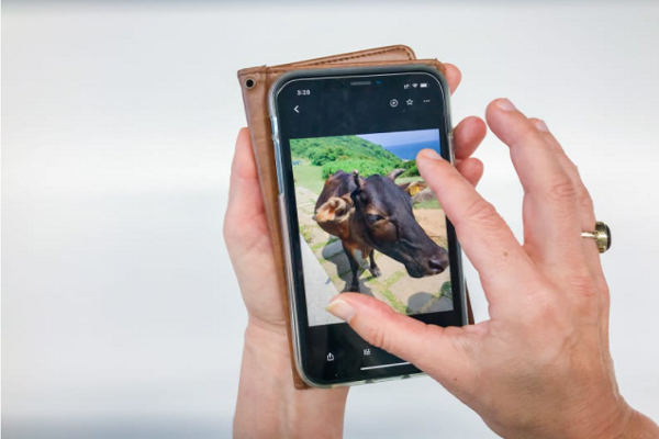 آینده ای که از گذشته نشات می گیرد! آینده ای که از گذشته نشات می گیرد!