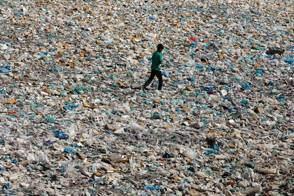 زشت و زیبای محیط زیست در سال 2020 (1)