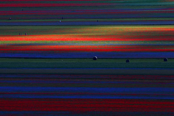 زشت و زیبای محیط زیست در سال 2020 (1)