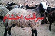 انهدام باند سارقان احشام