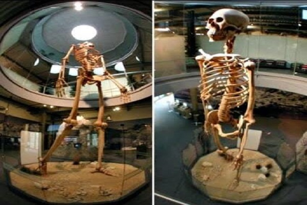 غول هایی که روی زمین زندگی می کردند (+عکس) غول هایی که روی زمین زندگی می کردند (+عکس)