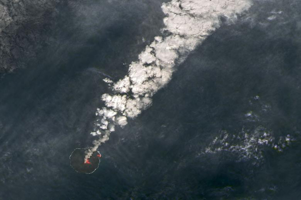 تصاویر برگزیده محیط زیست در 2020 (2)