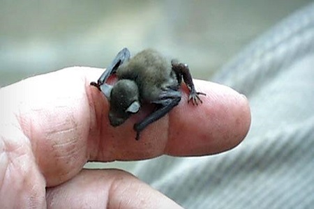 از پرجمعیت ترین تا ثروتمندترین کشورها از پرجمعیت ترین تا ثروتمندترین کشورها