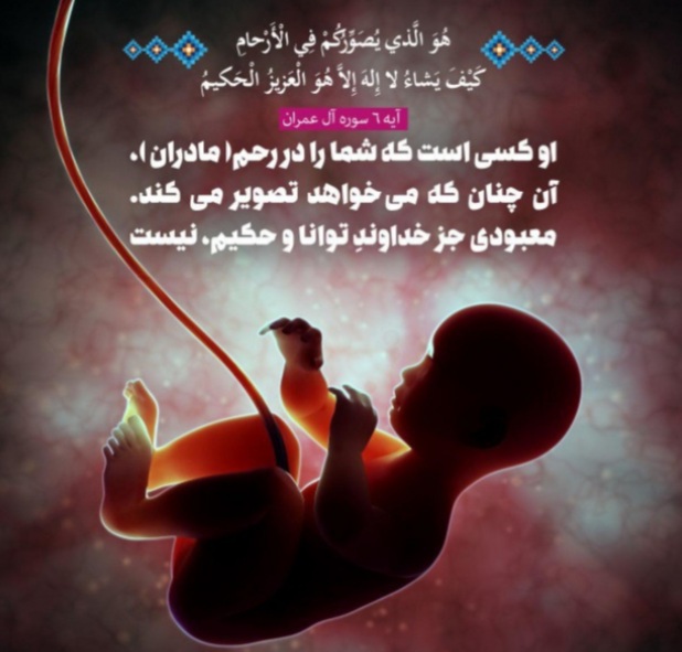 حق انسان در استفاده از بدن خود حق انسان در استفاده از بدن خود