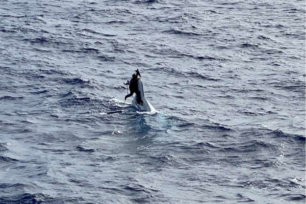 گوزن های گرسنه در تعقیب عابران پیاده / بیمار کرونایی در آغوش پزشک (تصاویر) گوزن های گرسنه در تعقیب عابران پیاده / بیمار کرونایی در آغوش پزشک (تصاویر)