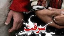 سارقان خانه‌های نازی آباد تهران به دام افتادند