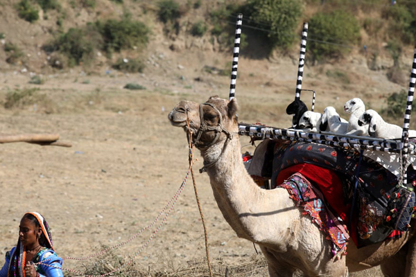 شیطان و فرشته در خیابان / دیدار با همسر از پشت کاور پلاستیکی (تصاویر)  شیطان و فرشته در خیابان / دیدار با همسر از پشت کاور پلاستیکی (تصاویر)