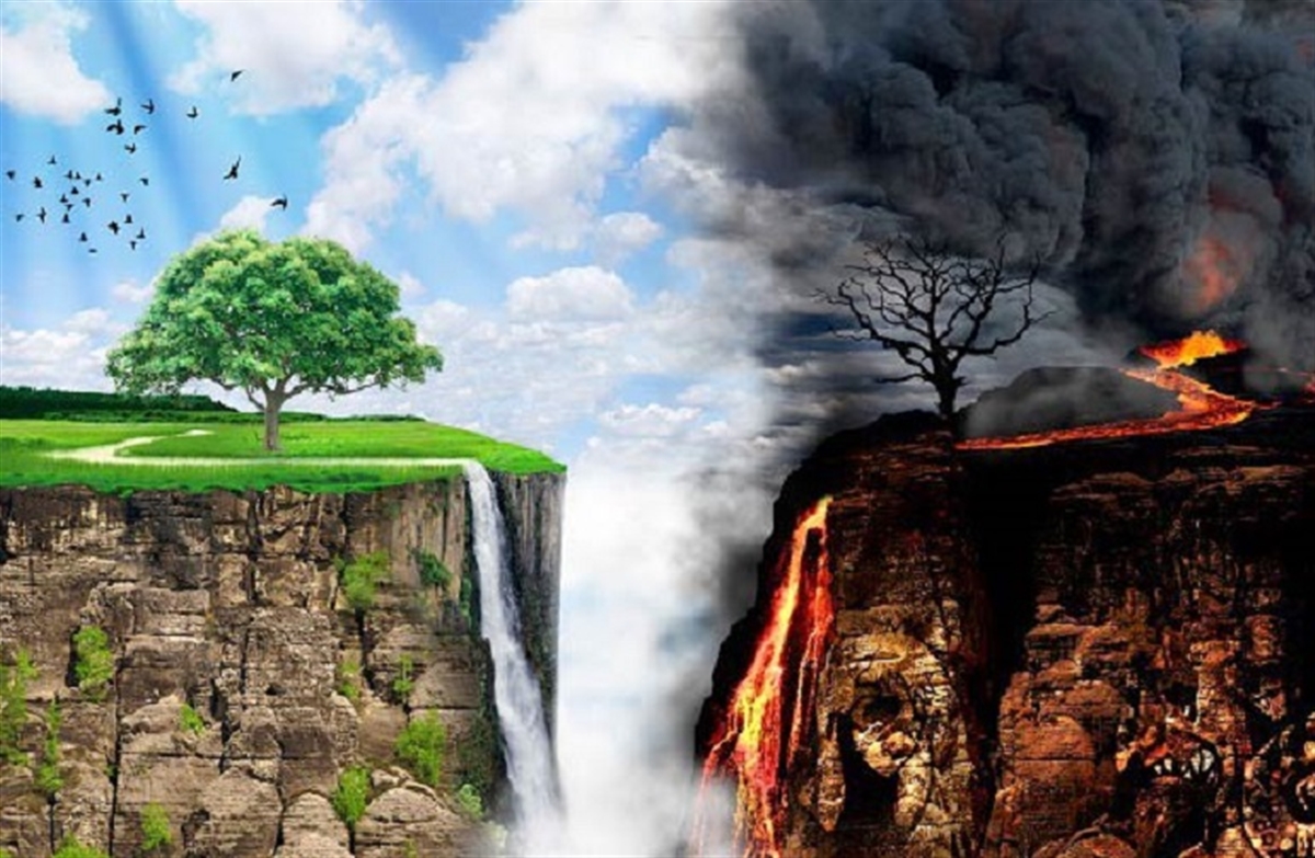 رمز و رازهایی از درخت‌های جهنمی و بهشتی