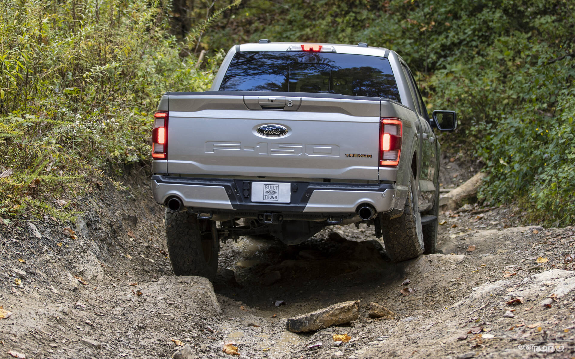 معرفی وانت فورد F-150 ترمور+عکس