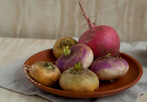 بهترین روش خوردن شلغم برای حفظ خواص آن بهترین روش خوردن شلغم برای حفظ خواص آن