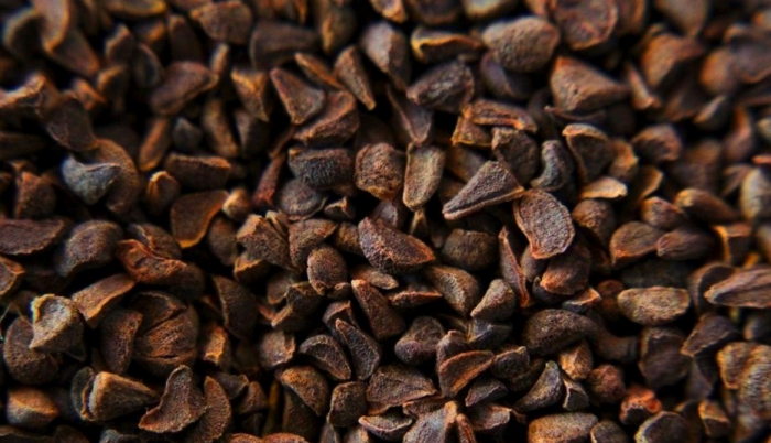 فواید اسپند برای درمان میگرن